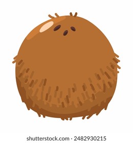 Coconut vector cartoon nut illustration isolated on a white background.