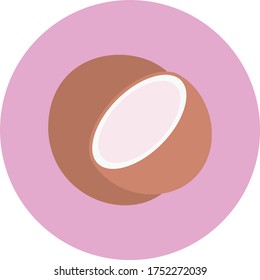 coconut vector flat color icon 