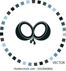 Coconut, vector icon