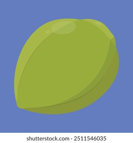 Coconut vector icon. Fresh Coconut fruit vector icon. coco icon