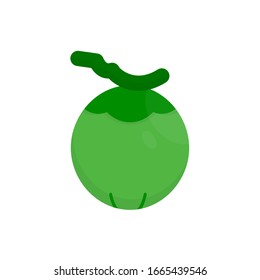 coconut vector icon fruit and vegetable