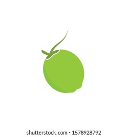 coconut vector icon illustration design template