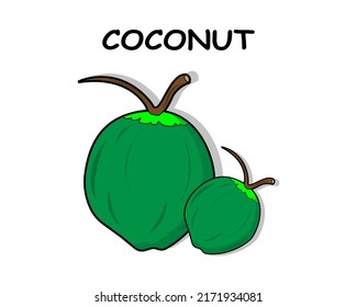 Coconut vector icon illustration design template on white background