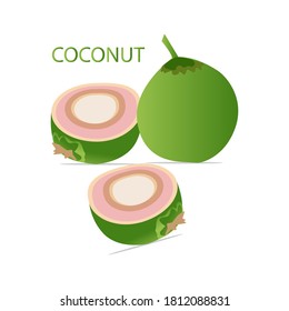 coconut vector icon isolated on white background. eps 10