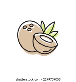 Coconut vector icon isolated on white background.