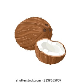 Coconut vector icon. Whole coconut and half isolated on white. Cartoon flat illustration.