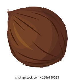 Coconut vector icon.Cartoon vector icon isolated on white background coconut.