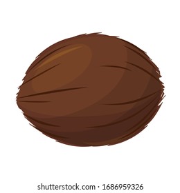 Coconut vector icon.Cartoon vector icon isolated on white background coconut.