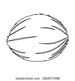 Coconut vector icon.Outline vector icon isolated on white background coconut.