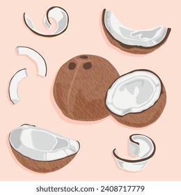 Coconut vector icons. Coconut whole and divided into segments. Tropical fruit.