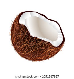 Coconut, vector illustration.