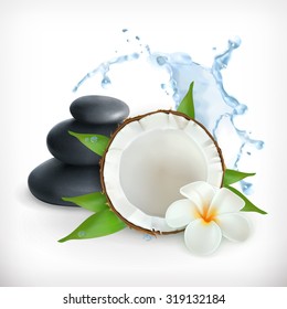 Coconut, vector illustration