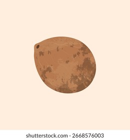 Estilo de desenho animado de ilustração de vetor de coco