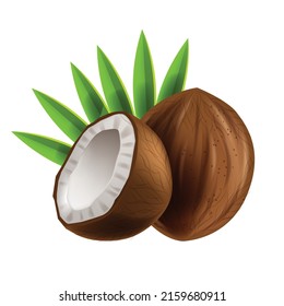 Coconut vector illustration, cut coco tropical fruit nut icon, whole realistic brown plant, green leaf. Fresh organic summer food isolated whole healthy exotic dessert meal. Nature logo, brown coconut