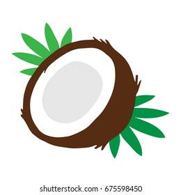 Coconut vector illustration drawing, coconut cut in half with green palm leaves isolated on white background.