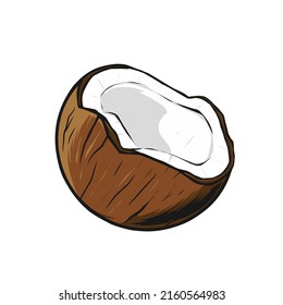 coconut vector illustration, drawing style