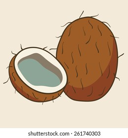 Coconut, vector Illustration. Exotic fruit. Hand-drawn style.