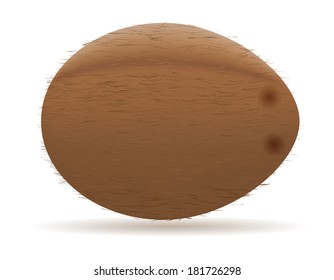 coconut vector illustration isolated on white background