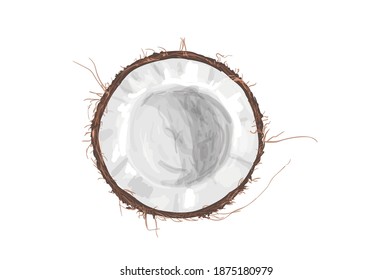 Coconut vector illustration isolated on white background