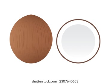 Coconut. Vector Illustration Isolated on White Background. 