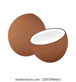 Coconut. Vector Illustration Isolated on White Background. 