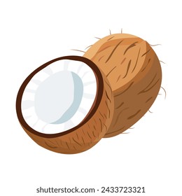 Coco en ilustración vectorial sobre fondo blanco aislado Coco fresco entero y medio. 