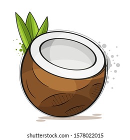 Coconut . Vector illustration On White Background. Suitable For Greeting Card, Poster Or T-shirt Printing.