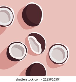 Ilustración vectorial de coco aislada. Ilustración dibujada a mano.