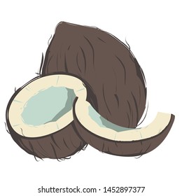 Coconut vector illustration. Whole, half and pieces coconut.