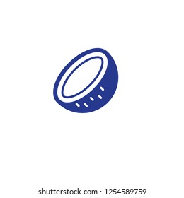 Coconut vector isolated icon