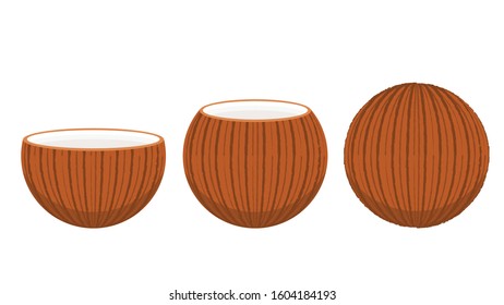 Coconut vector. Coconut on white background.
