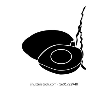 coconut vector silhouette isolated on white background