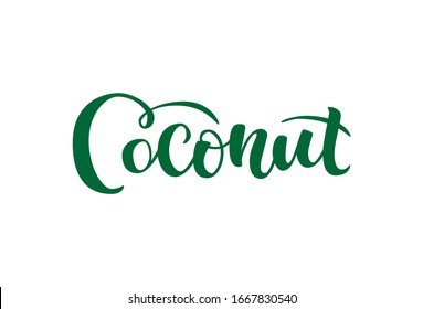 Coconut vector text, hand drawn lettering