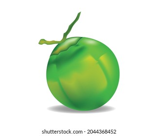 coconut vector that can be used for images related to coconut, besides that coconut also has the letter C prefix which can be used for children's learning
