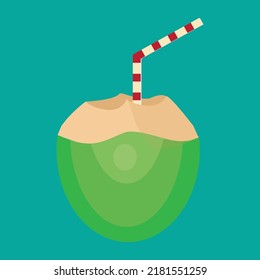 Coconut vector, coconut water vector illustration.