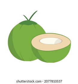 Coconut vector with white background