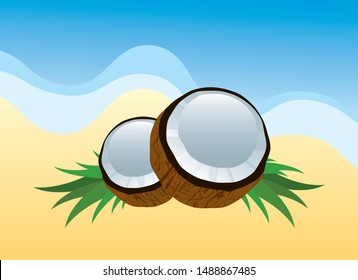 Coconut walnut on the beach vector.  Coconut beach background vector