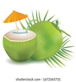 Coconut water cocktail drink in 3d illustration vector EPS 10. Green Coconut  on white background. For use in graphic design, posters