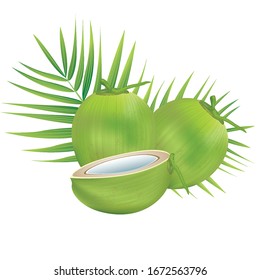 Coconut water drink in 3d illustration vector EPS 10. Green Coconut  on white background. For use in graphic design, posters.