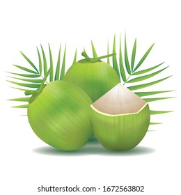 Coconut water drink in 3d illustration vector EPS 10. Green Coconut  on white background. For use in graphic design, posters.