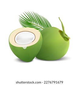 Coconut Water Drink, Green coconut isolated on white background vector.