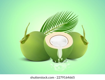 Coconut Water Drink, Green coconut isolated on green background vector.