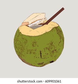 Coconut Water Drink, Green coconut vector. hand drawn sketch line art highly detail. 