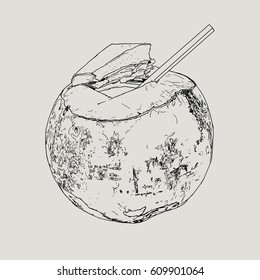 Coconut Water Drink, Green coconut vector. hand drawn sketch line art highly detail. 