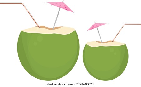 Coconut water, illustration, vector on a white background.