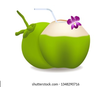 Coconut water and orchid for Summer graphic vector