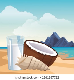 coconut water seashell