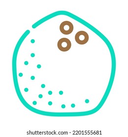 coconut white color icon vector. coconut white sign. isolated symbol illustration