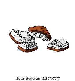 coconut white hand drawn vector. fruit milk, palm oil, half fresh, nut splash coconut white sketch. isolated color illustration