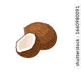 Coconut, whole fruit and half. Vector illustration cartoon flat icon isolated on white.